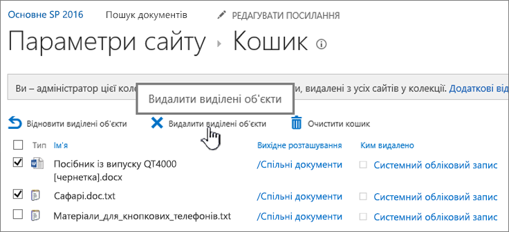 Сторінка кошика SharePoint 2016 із виділеною кнопкою "Видалити"