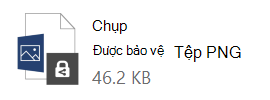 Thay đổi biểu tượng cho tệp được bảo vệ