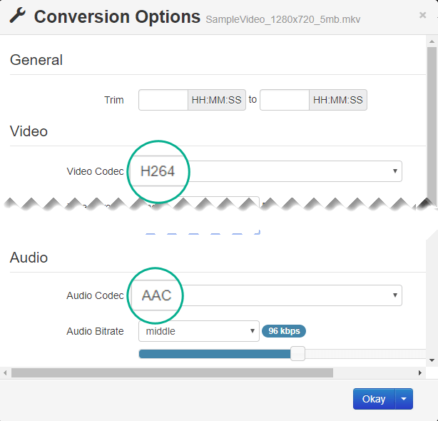 Hộp thoại Conversion Options (Tùy chọn Chuyển đổi) có các tùy chọn cho Video Codec (Codec Video) và Audio Codec (Codec Âm thanh)