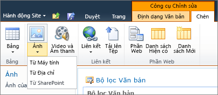 Bấm vào nút ảnh trên dải băng, rồi chọn từ máy tính, địa chỉ hoặc SharePoint.