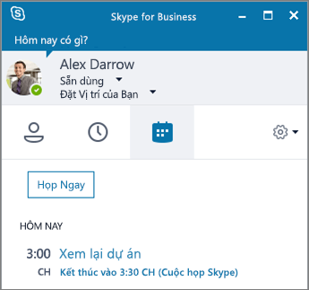 Ảnh chụp màn hình tab Cuộc họp trong cửa sổ Skype for Business.