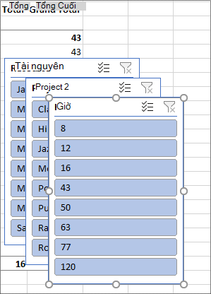 Bộ lọc Slicer trên một trang tính trong Excel.