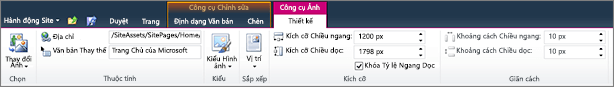 Tab công cụ ảnh cho phép bạn đặt kích cỡ, kiểu, vị trí và văn bản thay thế trên hình ảnh.