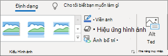 Nút Văn bản thay thế trên Dải băng cho Outlook trên Windows.