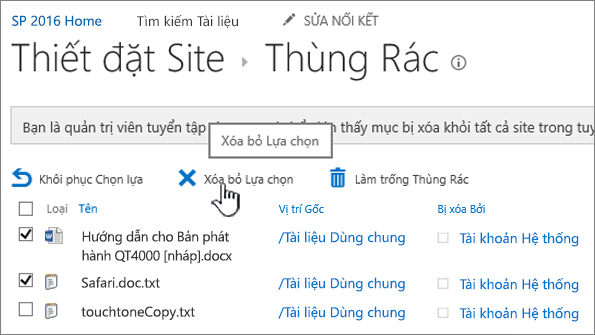 Nút Xóa bỏ của trang Rác trong SharePoint 2016 được tô sáng