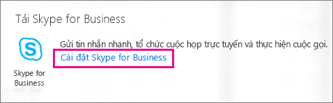 Ảnh chụp màn hình nút Cài đặt cho Skype for Business trên cổng thông tin Office 365