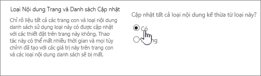 Chọn cập nhật tất cả các kiểu nội dung