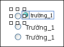 Ba nút tùy chọn trong chế độ thiết kế; nút đầu tiên được chọn