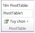 Nhóm PivotTable trên tab Tùy chọn bên dưới Công cụ PivotTable