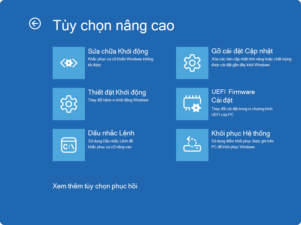 Ảnh chụp màn hình Windows RE - Màn hình tùy chọn nâng cao.