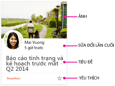 Thẻ nội dung Delve cho iPhone