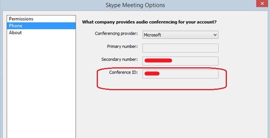 Screenshot for Skype Meeting Options 