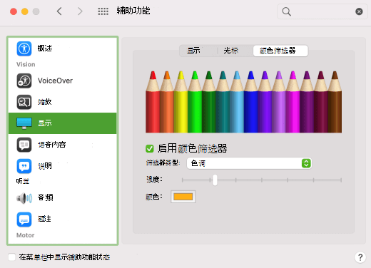 在 macOS 设置中启用的颜色筛选器选项。
