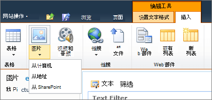 单击功能区上的 "图片" 按钮，然后从 "计算机"、"地址" 或 "SharePoint" 中选择。