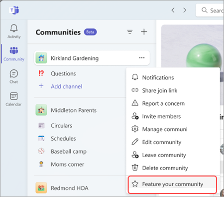 Microsoft Team (桌面版免费) 中的社区设置中的功能“你的社区”选项的屏幕截图。