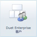 Duet Enterprise 客户