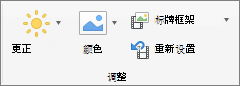 屏幕截图显示 "视频格式" 选项卡上的 "调整" 组，其中包含更正、颜色、标牌框架和重置选项。