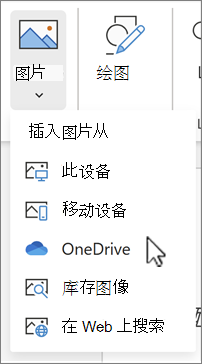 从 OneDrive 插入的图像
