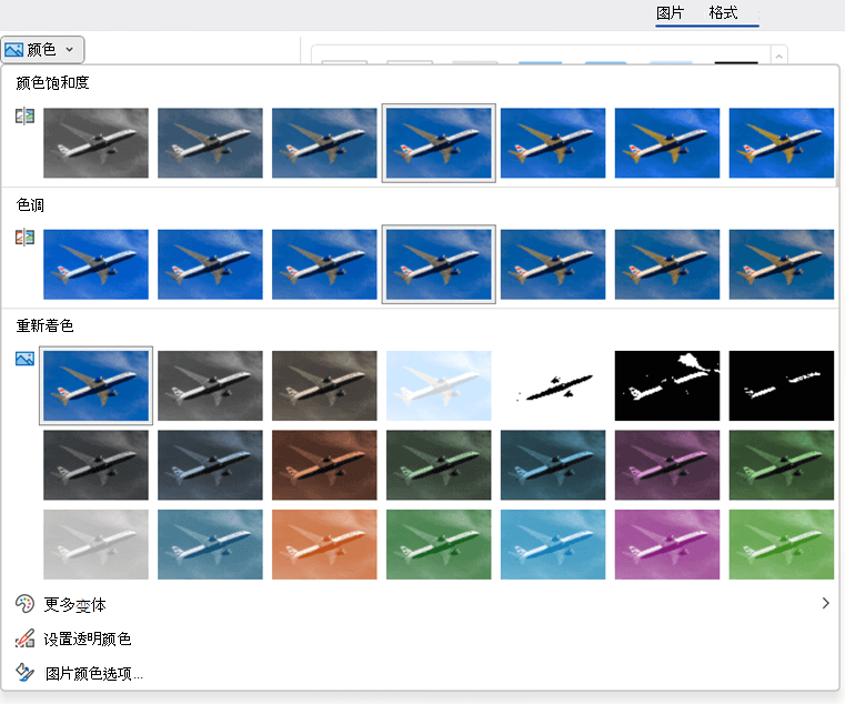 在“图片格式”选项卡上，可以找到用于色调和饱和度的颜色选项库。