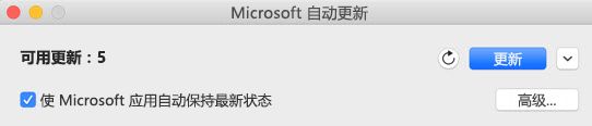有可用更新时出现“Microsoft 自动更新”窗口。