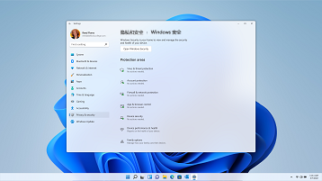 显示隐私和安全性、Windows 安全设置的 Windows 11 屏幕