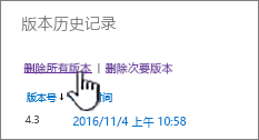 “版本”对话框，其中突出显示了“删除所有版本”