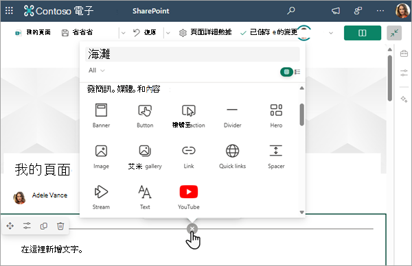 螢幕快照顯示您在網站頁面上工作的工具箱。