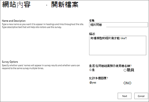 已填入文字方塊的新問卷對話方塊。