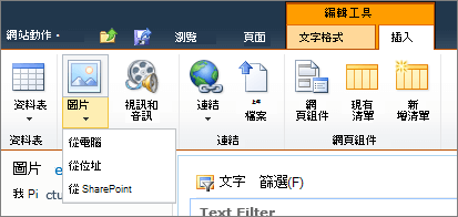 按一下功能區上的 [圖片] 按鈕，然後從 [電腦]、[位址] 或 [SharePoint] 中選取。