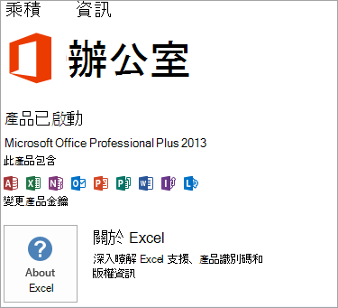 Excel Msi 安裝