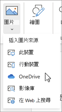 從 OneDrive 插入的影像