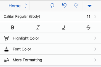iOS 版 Word 中的字型格式設定選項。