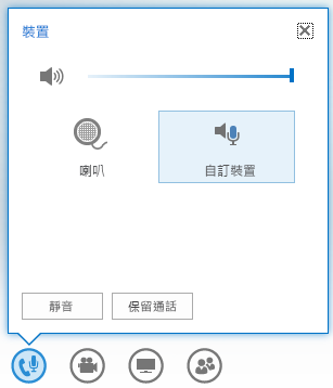 游標放在音訊按鈕上方時所顯示的選項之螢幕擷取畫面