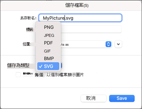 使用已選取的 SVG 選項另存為 Mac 版 Outlook 2021 中的對話方塊
